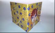 CD en Ecopack 2 1 (13)